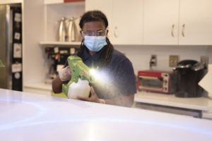 Picture of Home Clean Heroes Grime Fighter Deploying Disinfecting Mist Service - COVID Killer