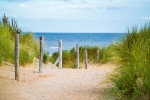 Going to Sandbridge beach while Home Clean Heroes Cleans house.