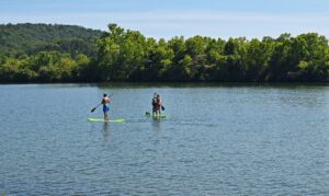 Paddle Boarding in Gotha