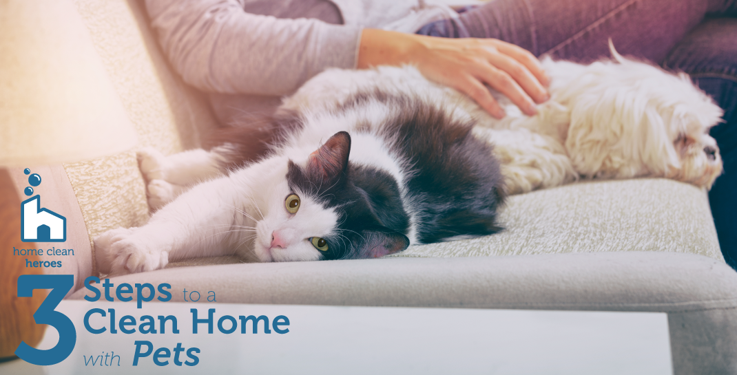 Home Clean Heroes | Home With Pets