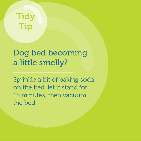How to unstink your dog bed - Tidy Tip from Home Clean Heroes